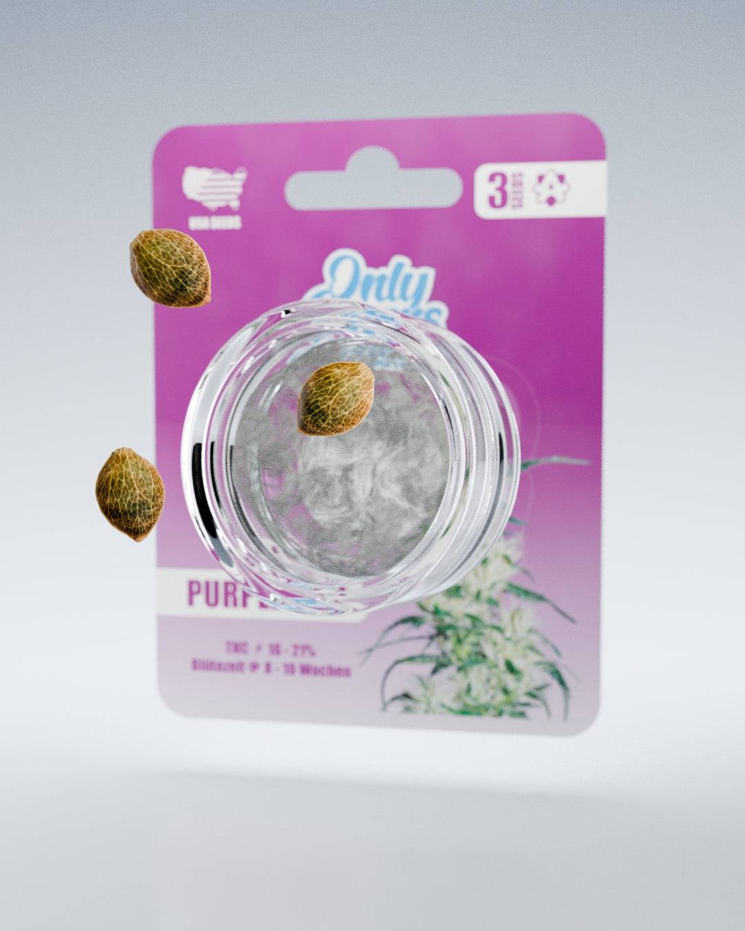 Purple Haze – THC-Seeds - OnlyGrams