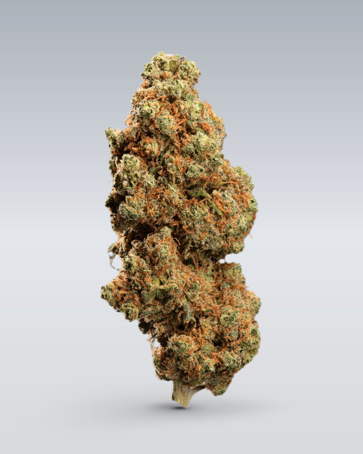 CBD Blüten Probierset | 3 Custom Bags - OnlyGrams