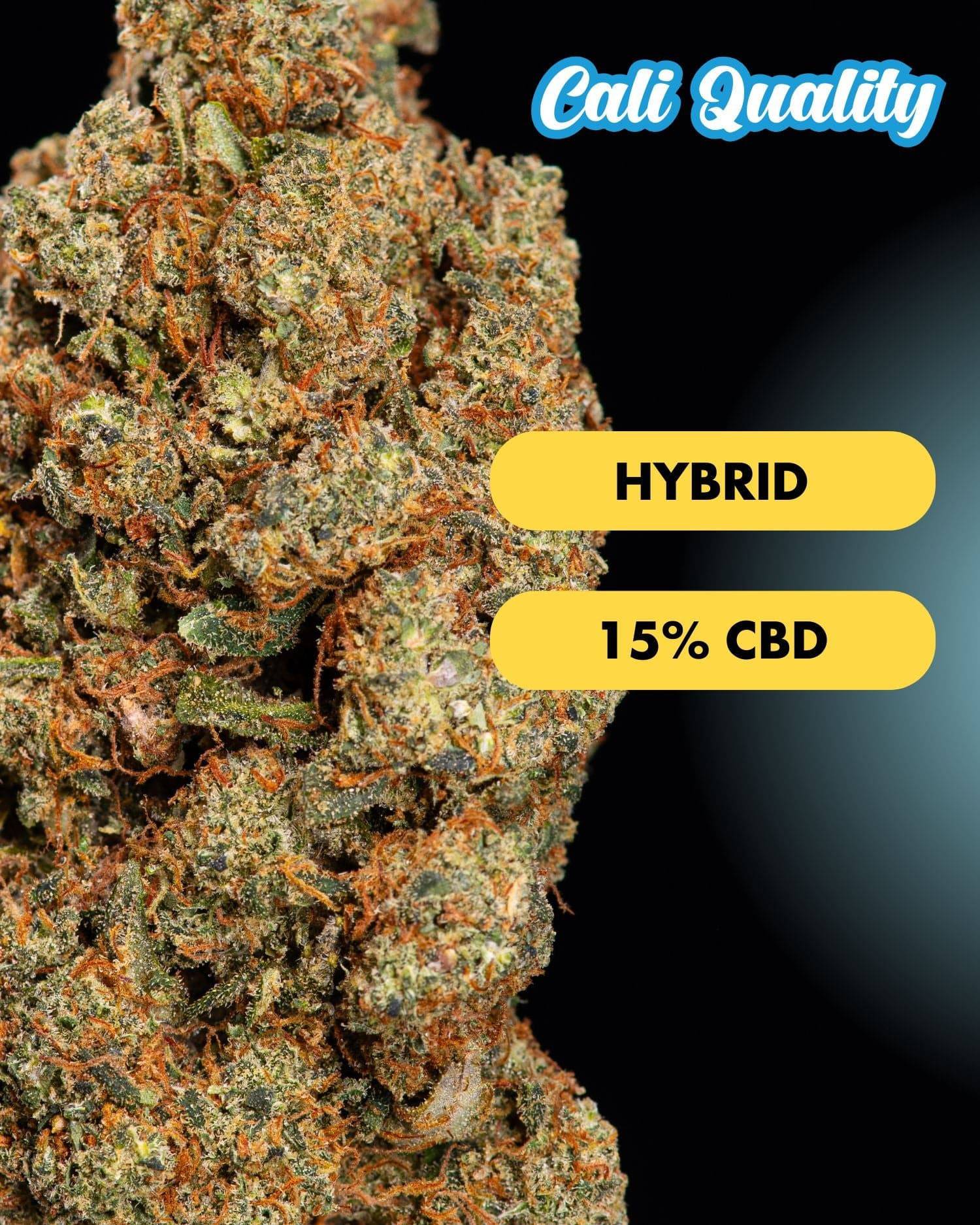 Fruit Storm - CBD Blüte 15% - OnlyGrams