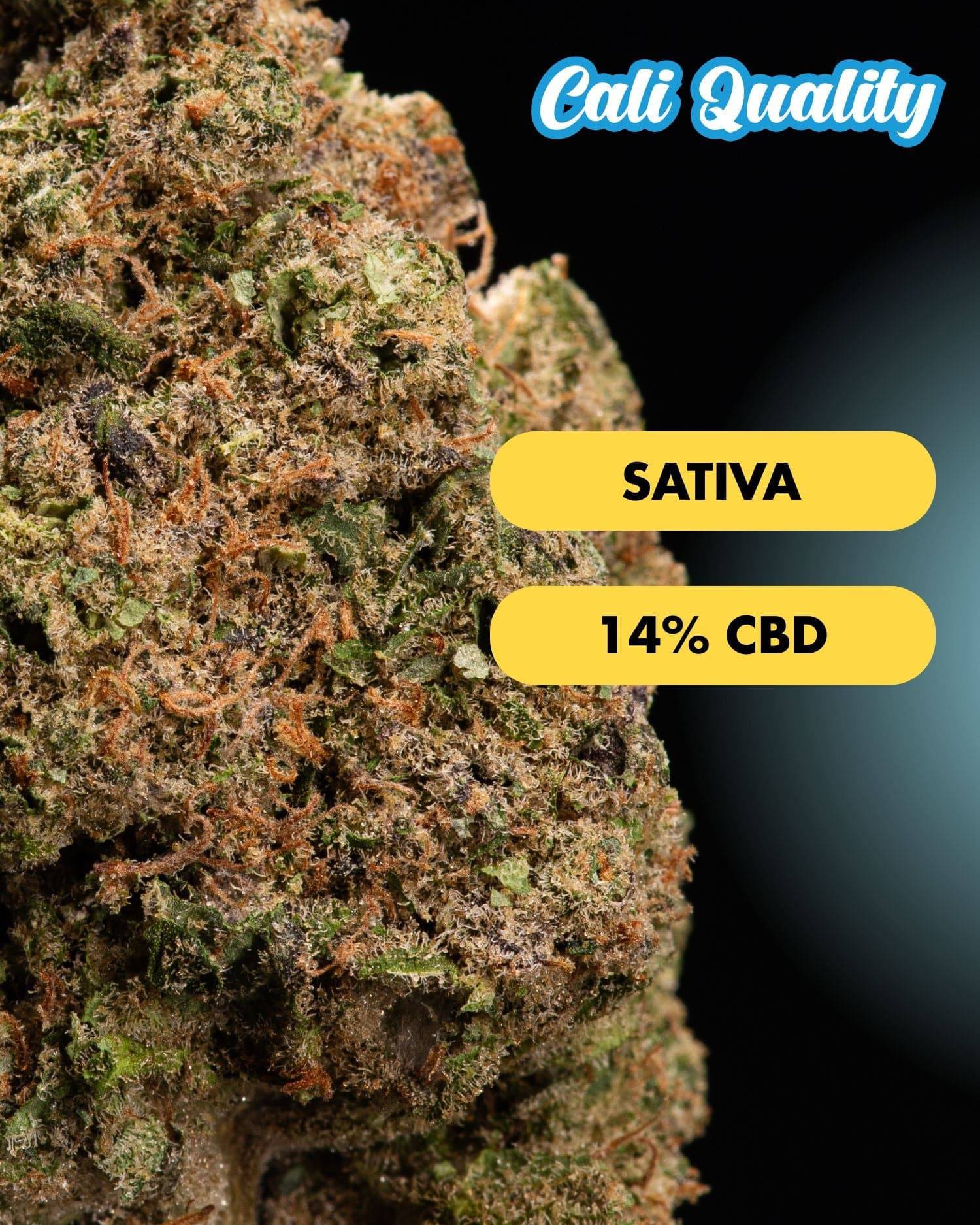 Lucid Dreams - CBD Blüte 14% - OnlyGrams