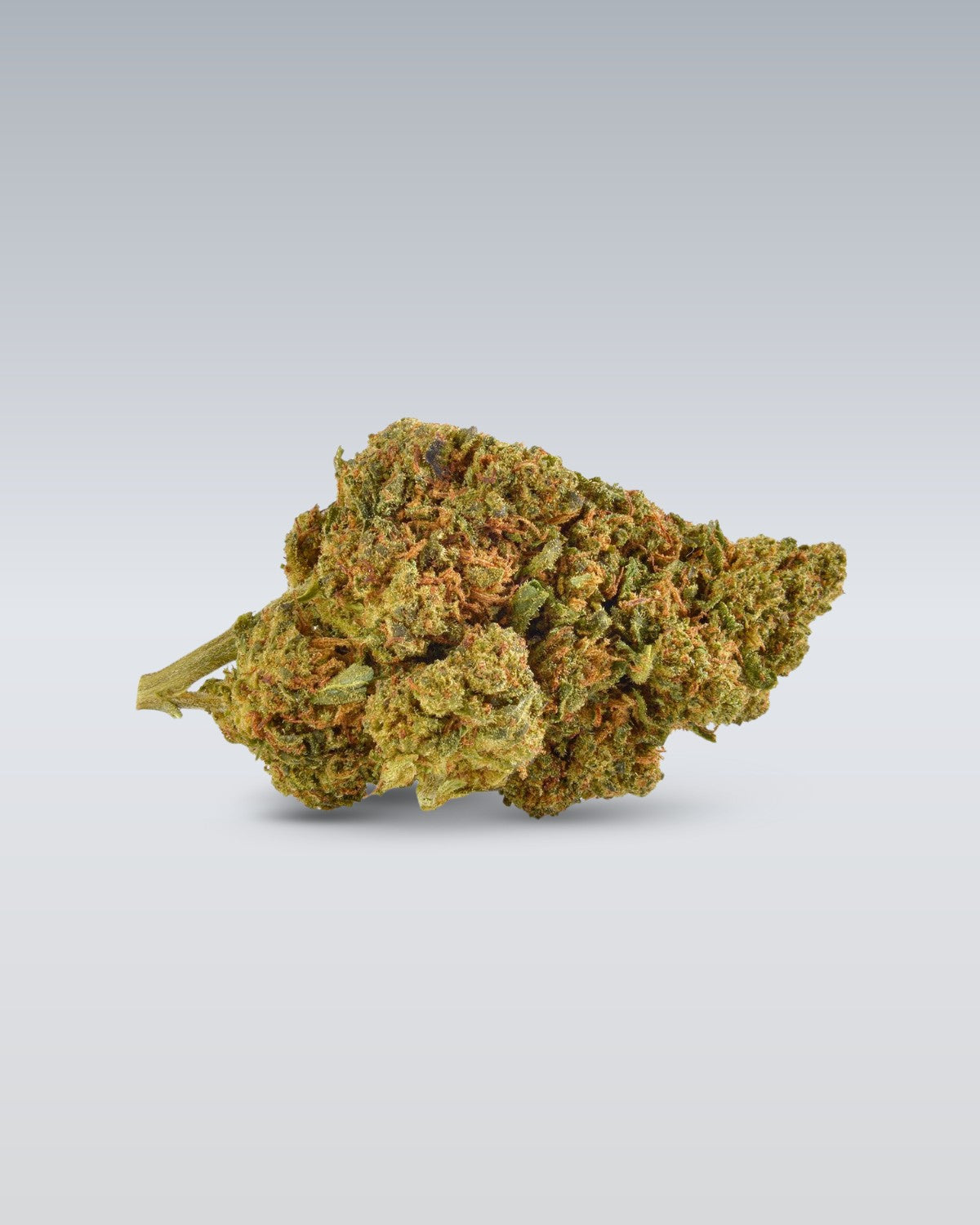 Strawberry Haze - Superior Blüte 55% - OnlyGrams