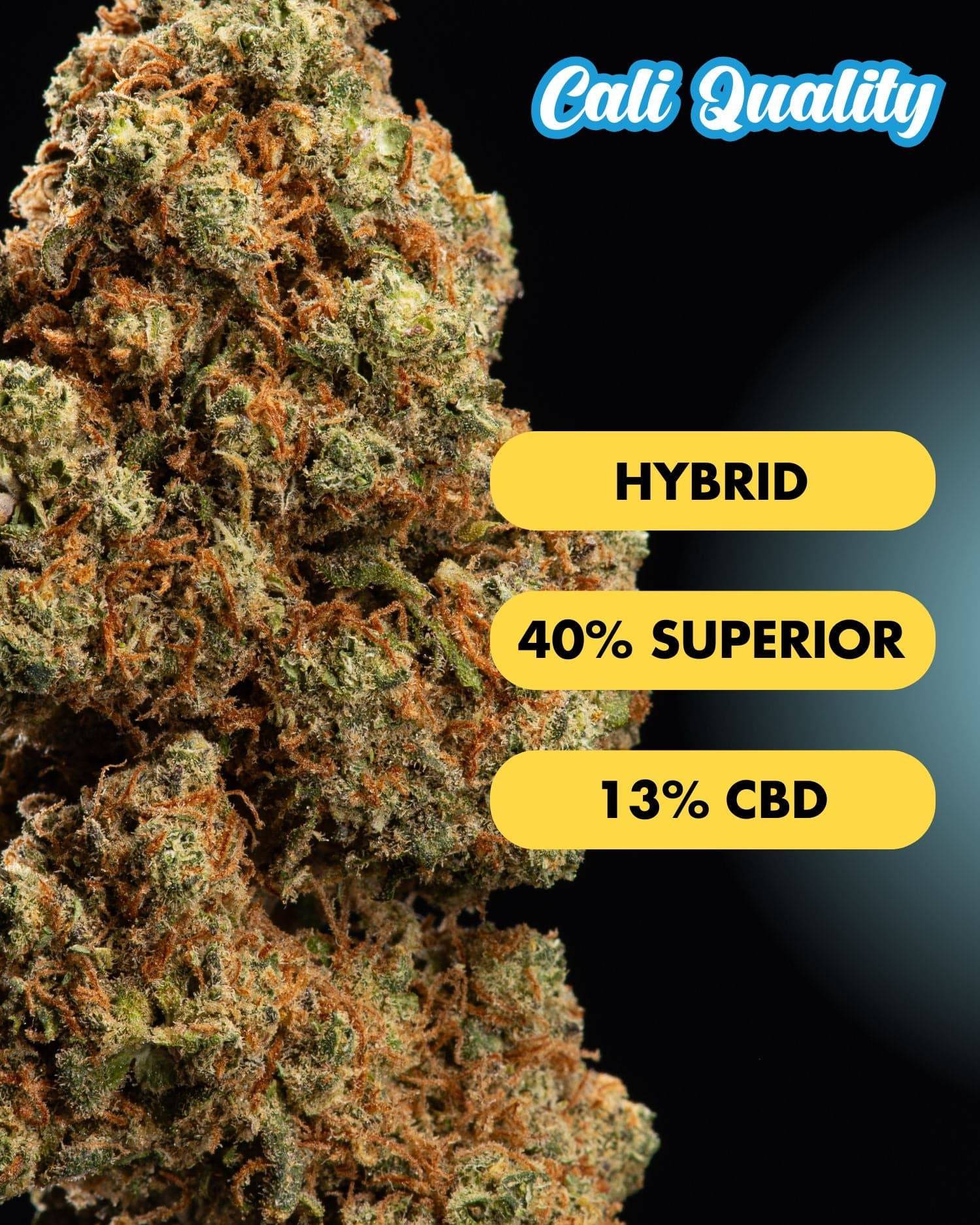 Blueberry Muffin - Superior Blüte 40% - OnlyGrams