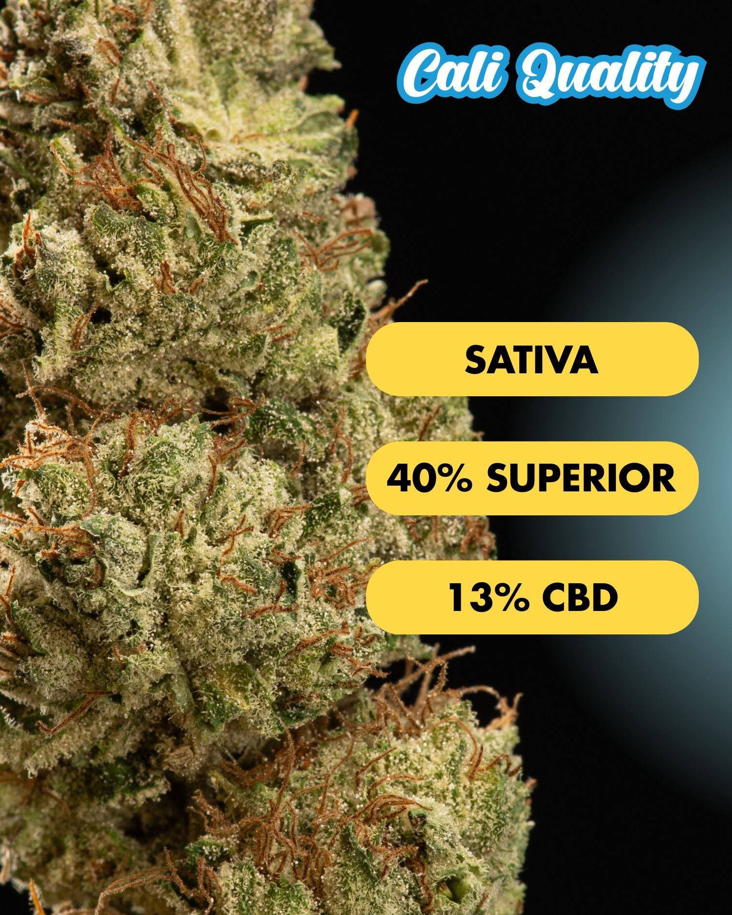 Grapefruit Punch - Superior Blüte 40% - OnlyGrams