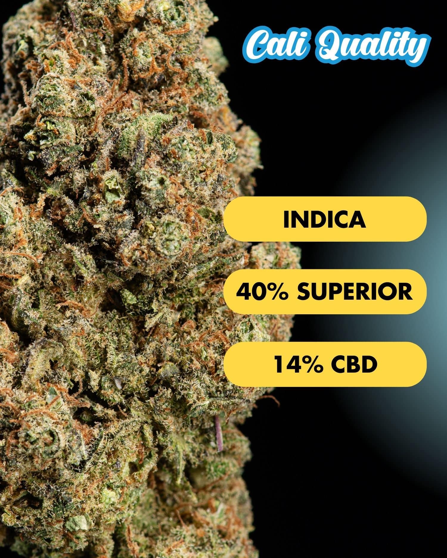 Tangie - Superior Blüte 40% - OnlyGrams