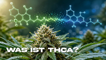 THCA - Wirkung, Konsumarten und Legalität in Deutschland