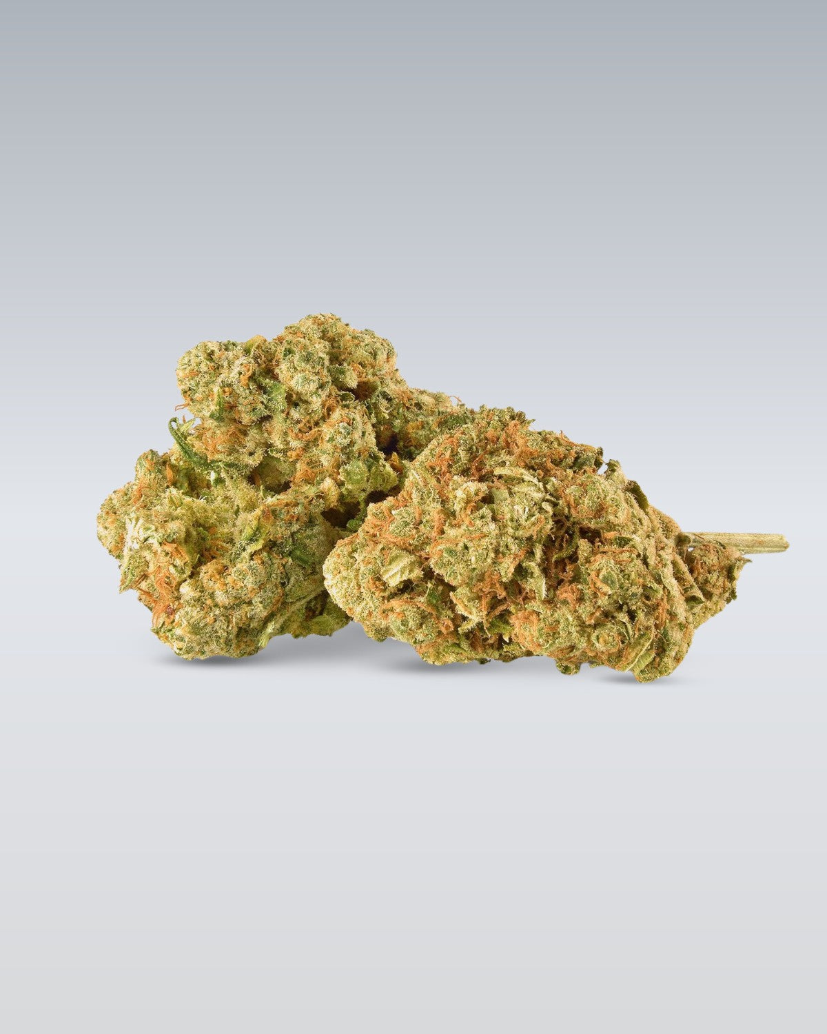 Amnesia - Superior Blüte 40% - OnlyGrams