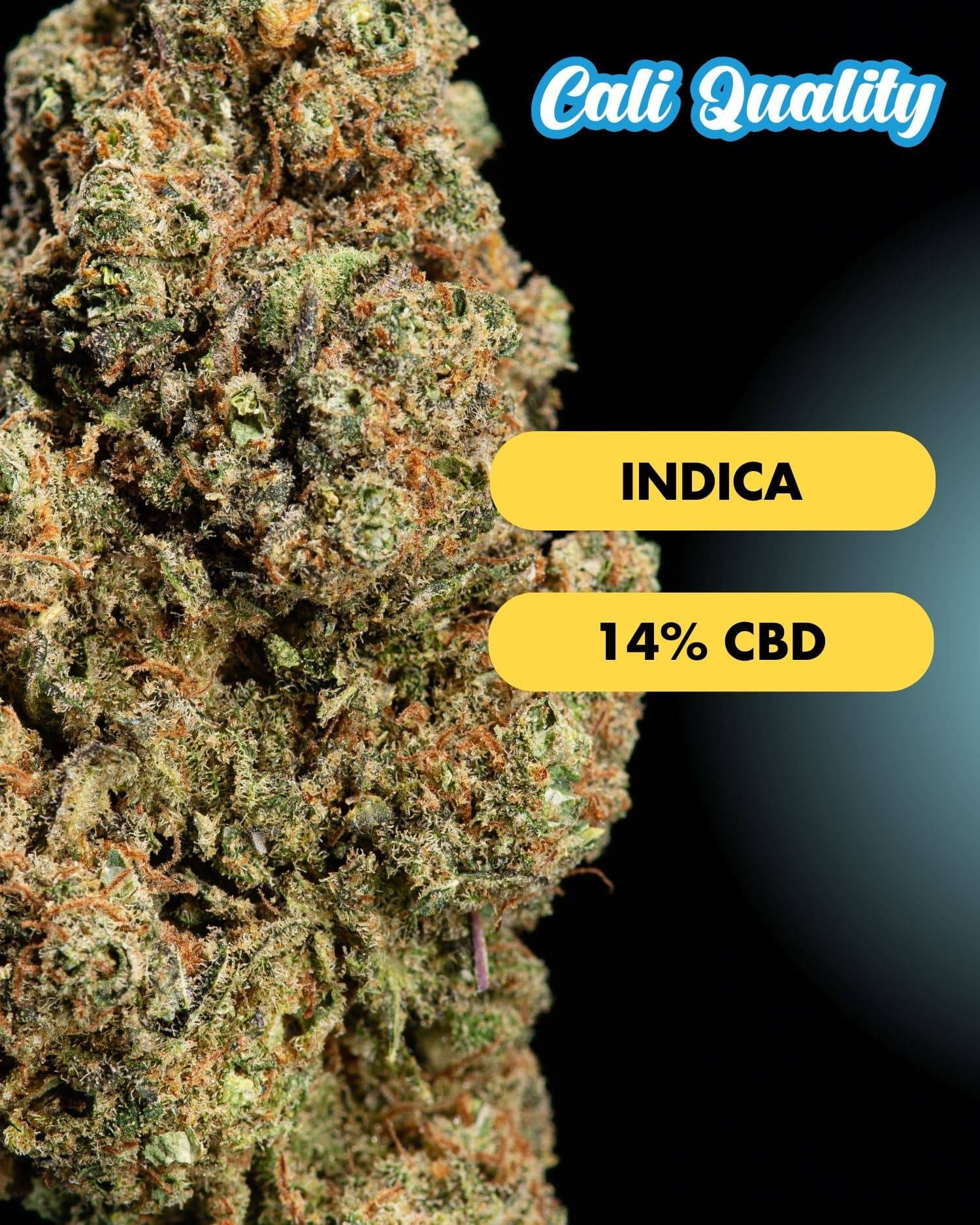 Tangie - CBD Blüte 14% - OnlyGrams