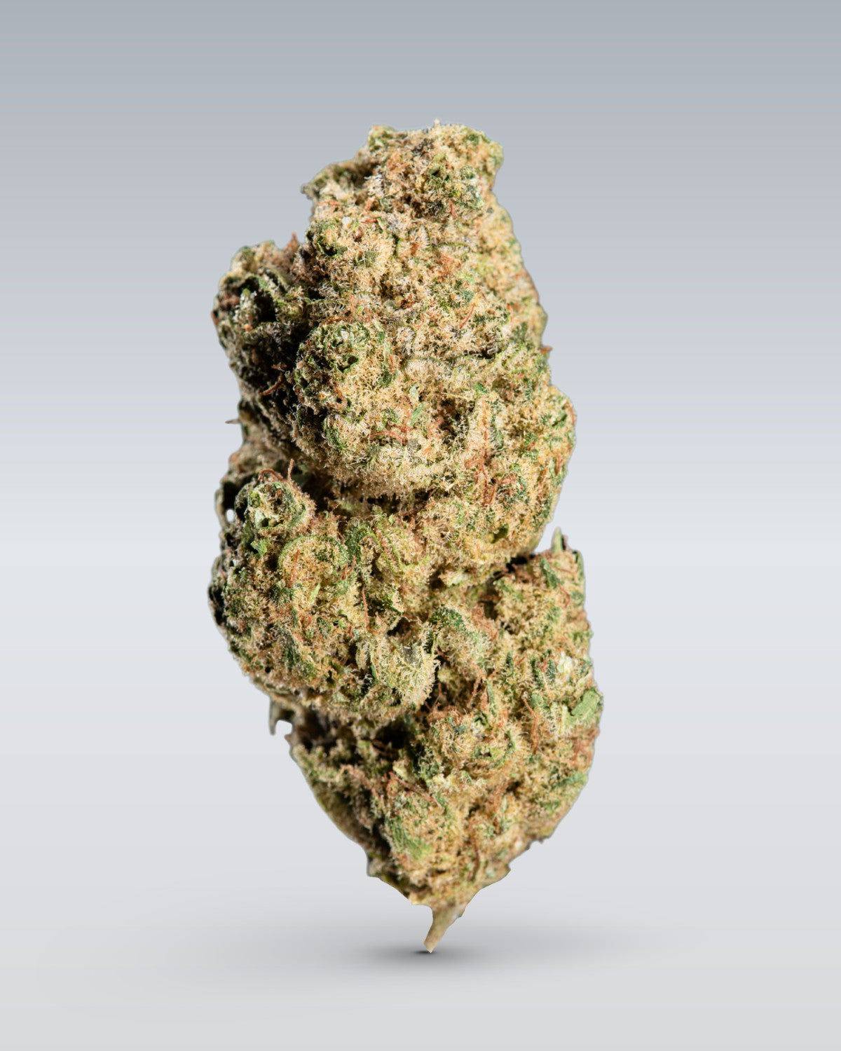 CBD Blüten Probierset | 3 Custom Bags - OnlyGrams