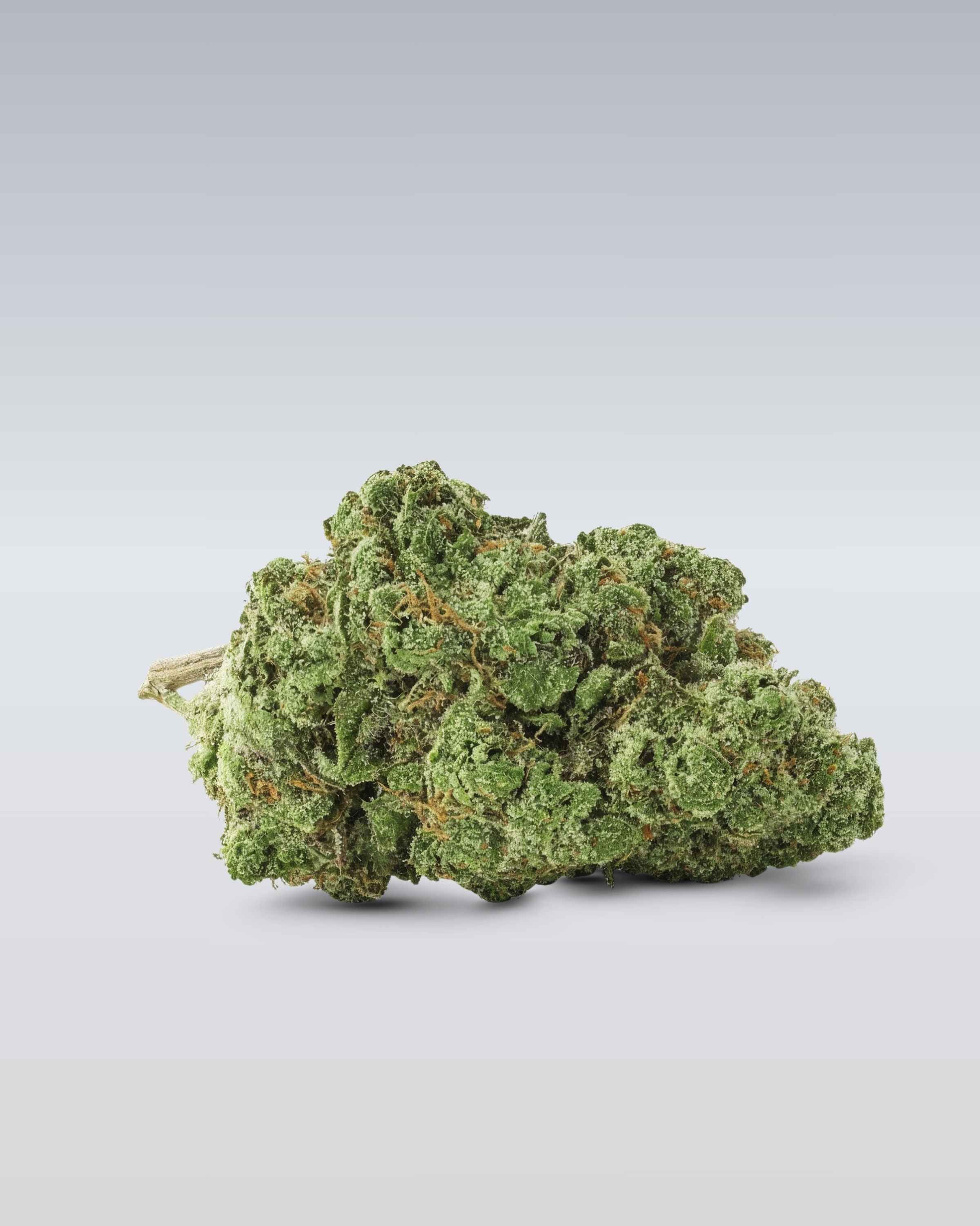 Frozen Black Cherry - Superior Blüte 50% - OnlyGrams