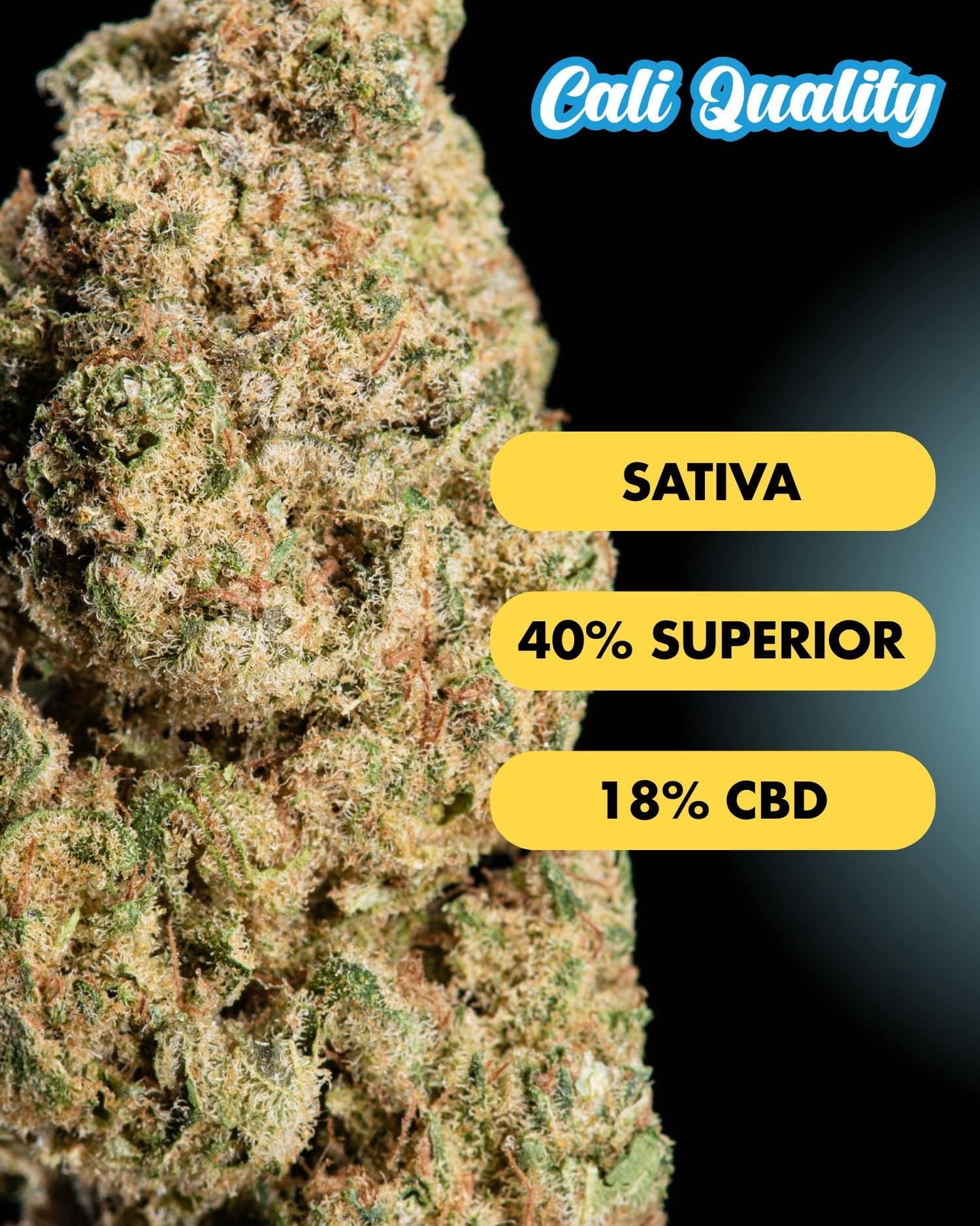 Frosty - Superior Blüte 40% - OnlyGrams