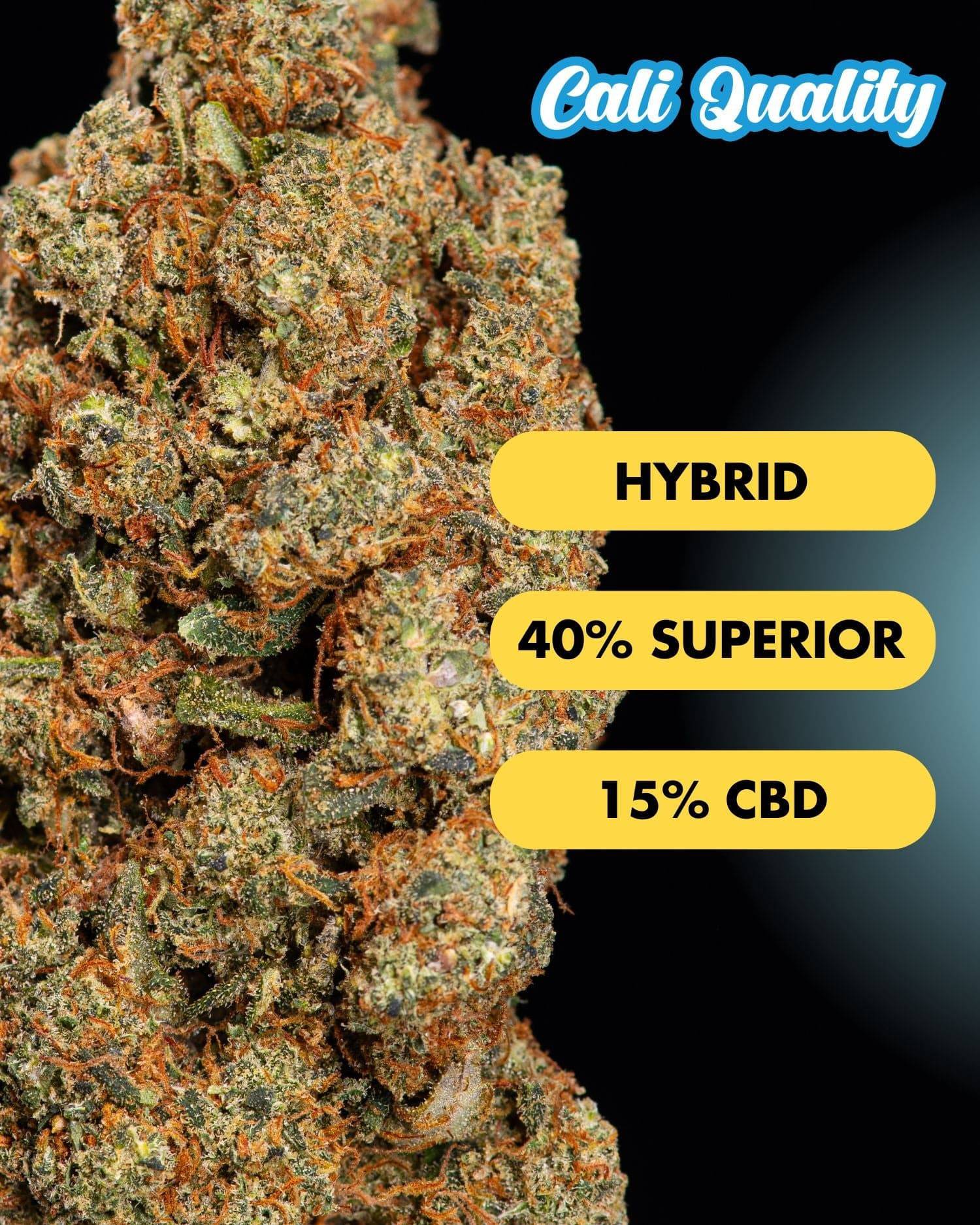Fruit Storm - Superior Blüte 40% - OnlyGrams