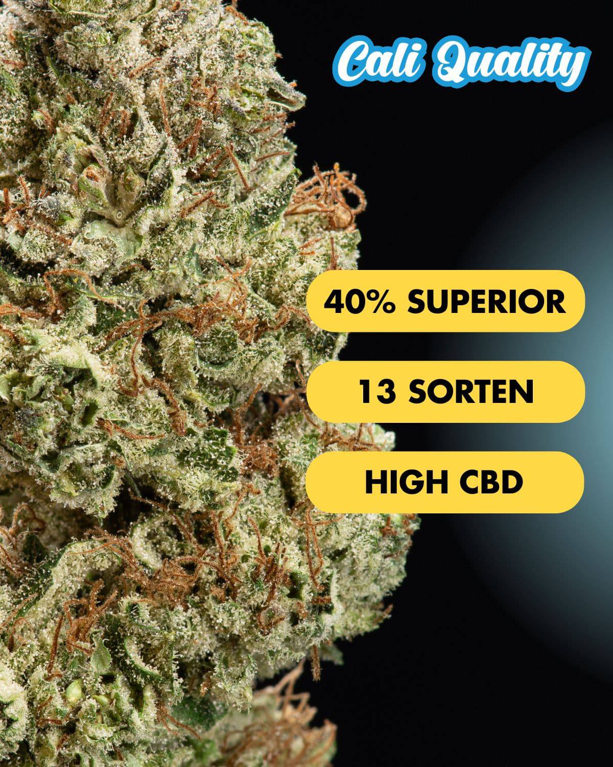 3für2 Superior Blüten Pack 10.5g - OnlyGrams