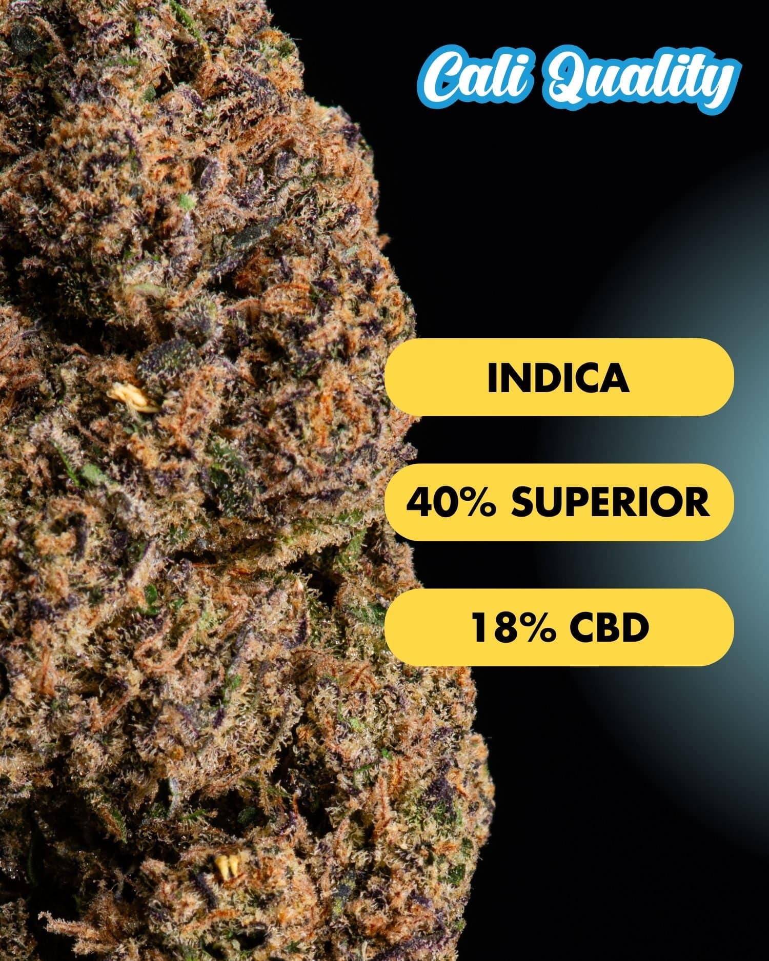 Purple Fuel - Superior Blüte 40% - OnlyGrams