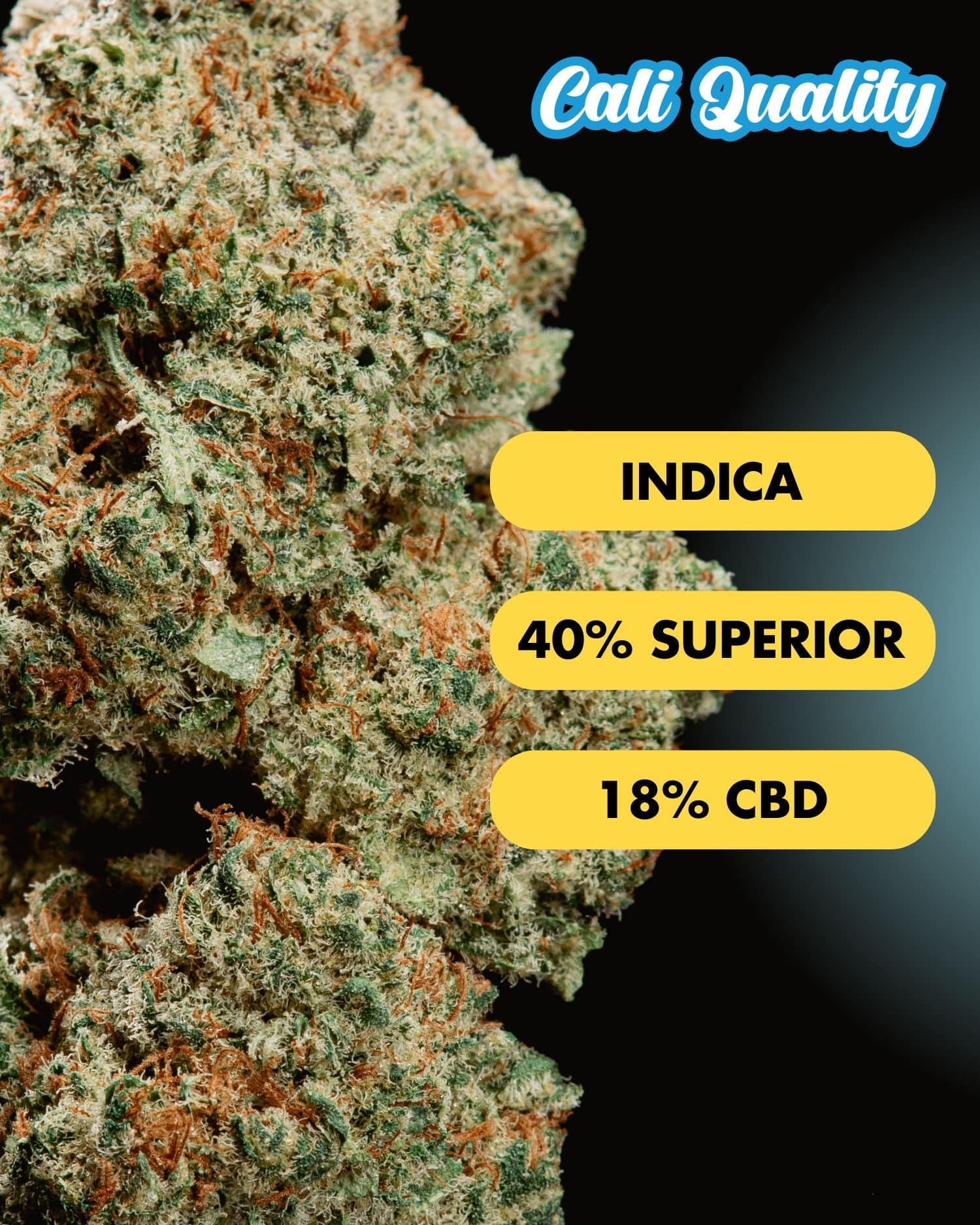 The White - Superior Blüte 40% - OnlyGrams